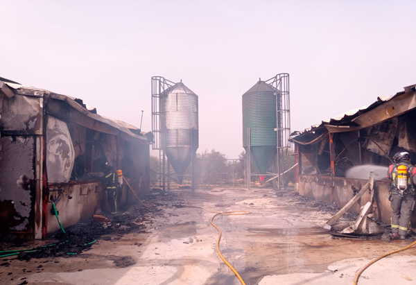 mas-de-6000-aves-muertas-en-un-incendio-de-dos-naves-avicultura-puente-genil