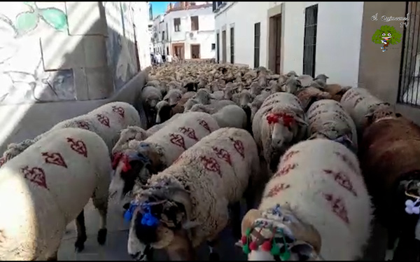 la-unesco-declara-la-trashumancia-y-la-tecnica-del-vidrio-soplado-patrimonio-cultural-inmaterial-de-la-humanidad