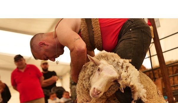 la-feria-del-pastoreo-villaralto-reivindica-un-oficio-tradicional-en-peligro-de-extincion