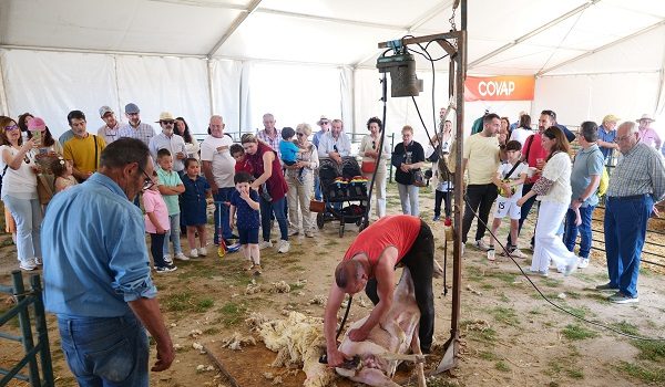 cientos-de-personas-disfrutan-de-la-tradicion-mas-arraigada-de-los-pedroches-en-villaralto