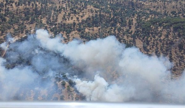 declarado-un-incendio-forestal-en-cardena