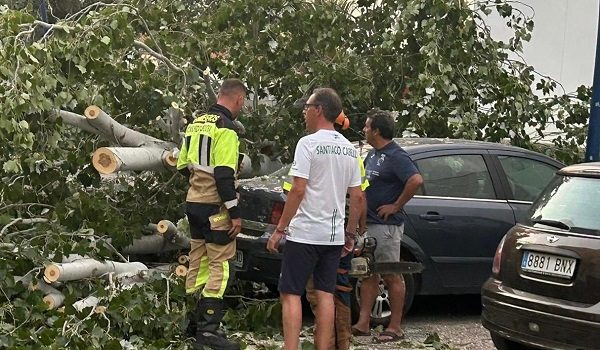 pozoblanco-valora-y-agradece-la-rapida-intervencion-de-los-servicios-de-emergencia-tras-las-fuertes-rachas-de-viento-sufridas-este-domingo