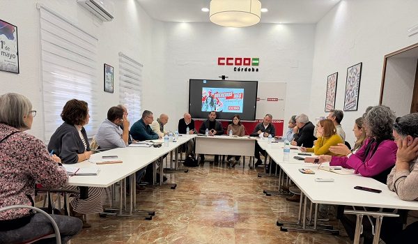 iu-y-ccoo-reclaman-ministerio-mas-potencia-electrica-frenar-despoblacion-norte-de-la-provincia