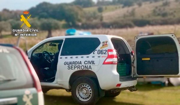 Investigado-como-presunto-autor-de-un-delito-de-hurto-en-una-explotación-ganadera-de-Villanueva-del-Duque