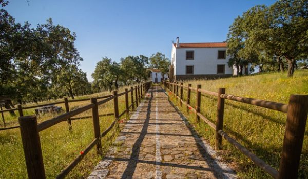 la-mancomunidad-de-los-pedroches-culmina-las-actuaciones-de-valoracion-turistica-y-cultural-desarrolladas-en-la-comarca