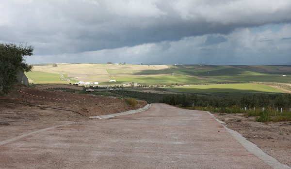 andalucia-impulsa-la-mayor-inversion-a-nivel-nacional-recuperacion-de-sus-vias-pecuarias