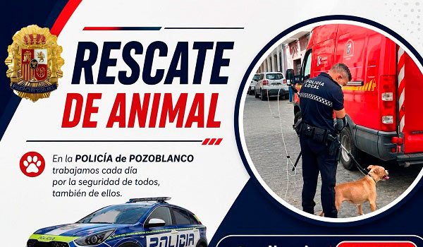 rescatado-un-perro-potencialmente-peligroso-en-pozoblanco-tras-permanecer-encerrado-en-un-local