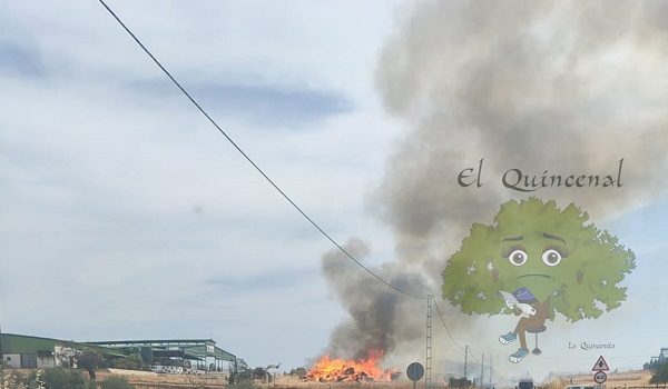 un-incendio-calcina-parte-de-la-paja-almacenada-explotacion-ganadera-de-dos-torres