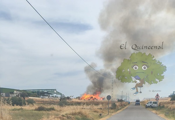 un-incendio-calcina-parte-de-la-paja-almacenada-explotacion-ganadera-de-dos-torres