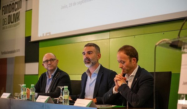 el-aforo-del-olivar-estima-para-la-campana-2026-27-una-produccion-de-1-261-200-toneladas-de-aceite-de-oliva-en-andalucia