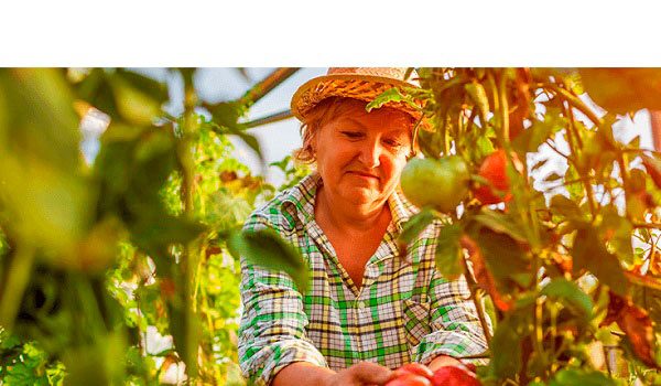 la-junta-convoca-la-xx-edicion-premios-de-agricultura-reconocer-la-calidad-la-innovacion-y-el-papel-de-la-mujer